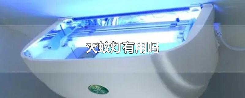 灭蚊灯有用吗