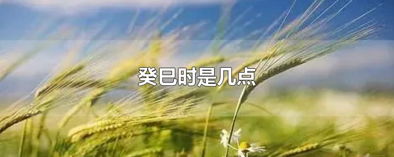 癸巳时是几点