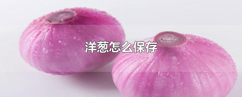 洋葱怎么保存