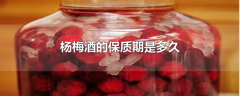 杨梅酒的保质期是多久