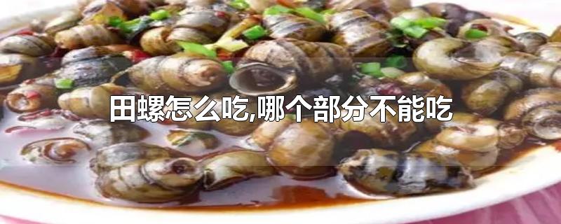 田螺怎么吃,哪个部分不能吃