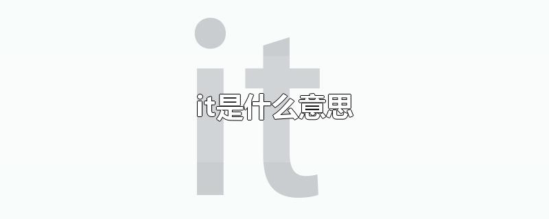 it是什么意思