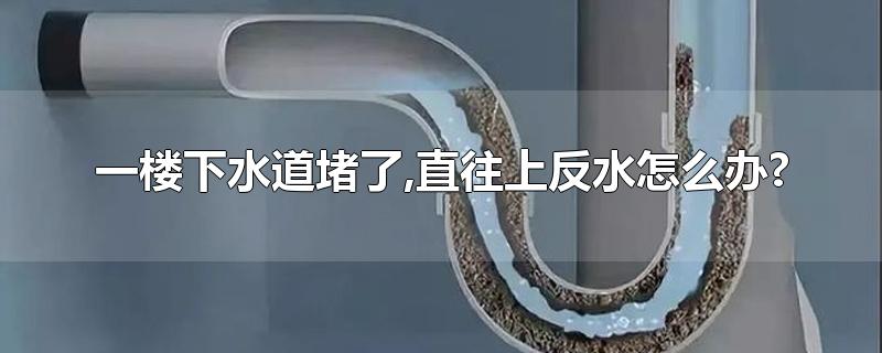 一楼下水道堵了,直往上反水怎么办?-最新一楼下水道堵了,直往上反水怎么办?整理解答