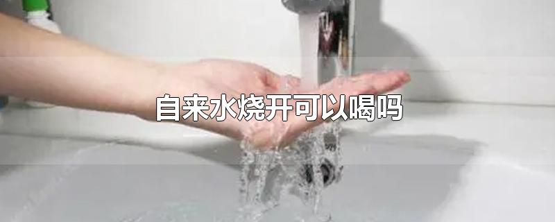 自来水烧开可以喝吗