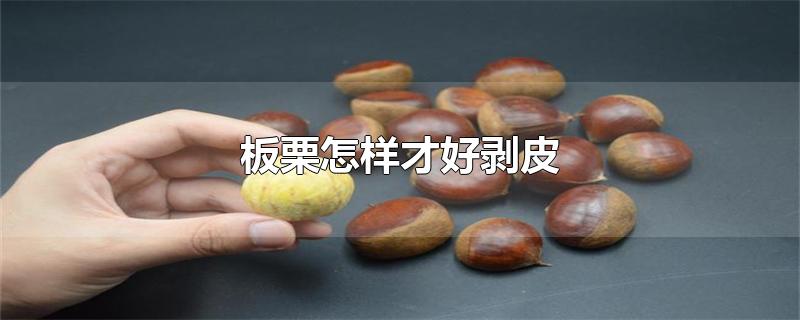 板栗怎样才好剥皮-最新板栗怎样才好剥皮整理解答