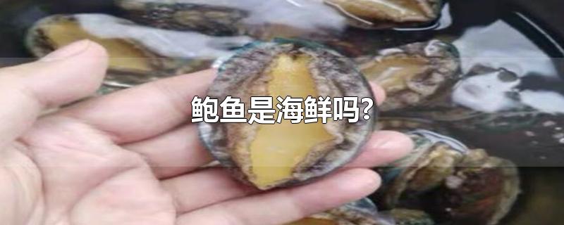 鲍鱼是海鲜吗?-最新鲍鱼是海鲜吗?整理解答