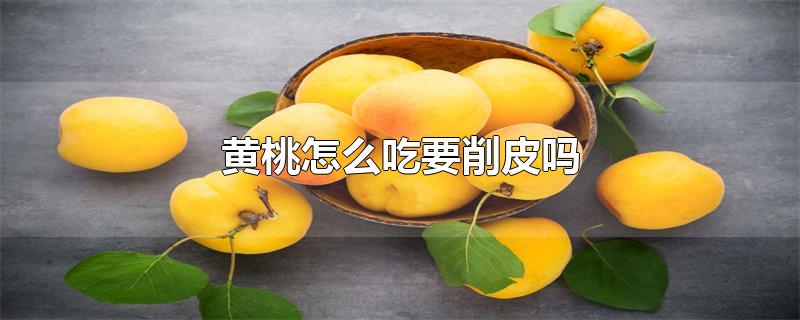 黄桃怎么吃要削皮吗-最新黄桃怎么吃要削皮吗整理解答