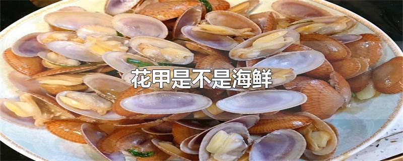 花甲是不是海鲜