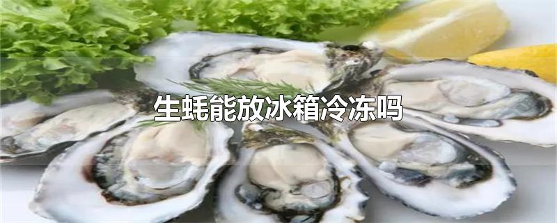 生蚝能放冰箱冷冻吗-最新生蚝能放冰箱冷冻吗整理解答