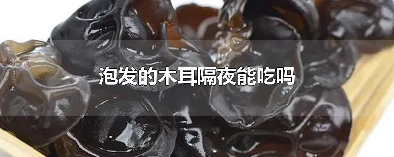 泡发的木耳隔夜能吃吗-最新泡发的木耳隔夜能吃吗整理解答