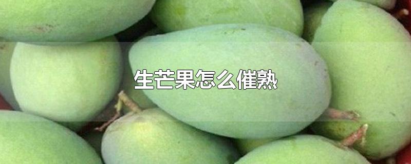 生芒果怎么催熟-最新生芒果怎么催熟整理解答