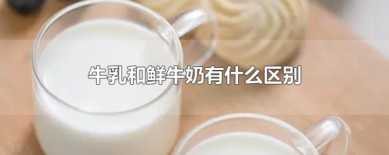 牛乳和鲜牛奶有什么区别-最新牛乳和鲜牛奶有什么区别整理解答