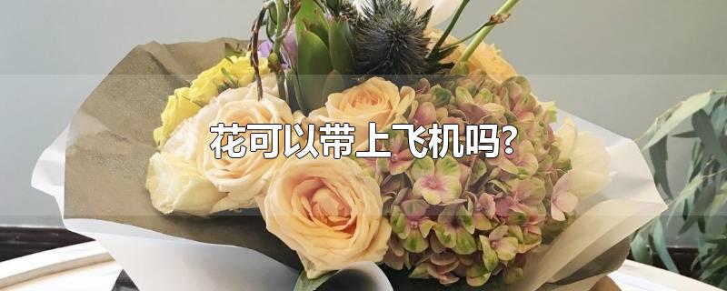 花可以带上飞机吗?-最新花可以带上飞机吗?整理解答