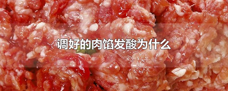 调好的肉馅发酸为什么-最新调好的肉馅发酸为什么整理解答