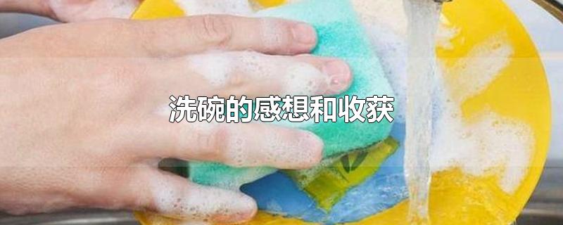 洗碗的感想和收获-最新洗碗的感想和收获整理解答