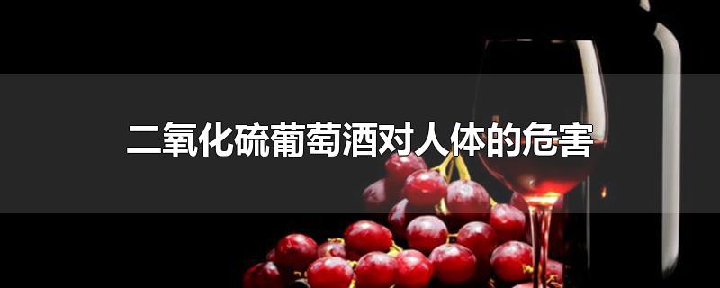 二氧化硫葡萄酒对人体的危害-最新二氧化硫葡萄酒对人体的危害整理解答