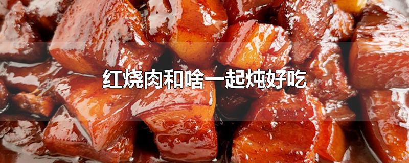 红烧肉和啥一起炖好吃-最新红烧肉和啥一起炖好吃整理解答