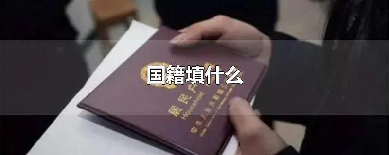 国籍怎么填中国图片