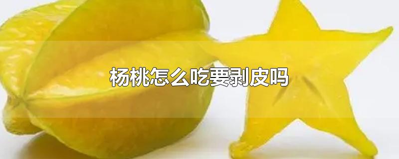 杨桃怎么吃要剥皮吗-最新杨桃怎么吃要剥皮吗整理解答