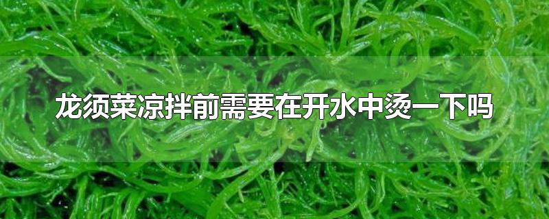 龙须菜凉拌前需要在开水中烫一下吗-最新龙须菜凉拌前需要在开水中烫一下吗整理解答