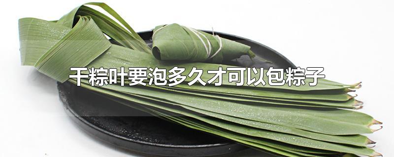 干粽叶要泡多久才可以包粽子-最新干粽叶要泡多久才可以包粽子整理解答