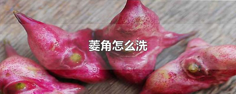 菱角怎么洗-最新菱角怎么洗整理解答