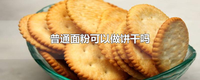 普通面粉可以做饼干吗-最新普通面粉可以做饼干吗整理解答