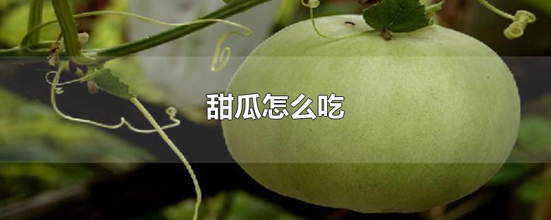 甜瓜怎么吃-最新甜瓜怎么吃整理解答