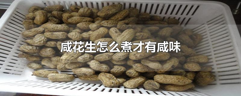 咸花生怎么煮才有咸味