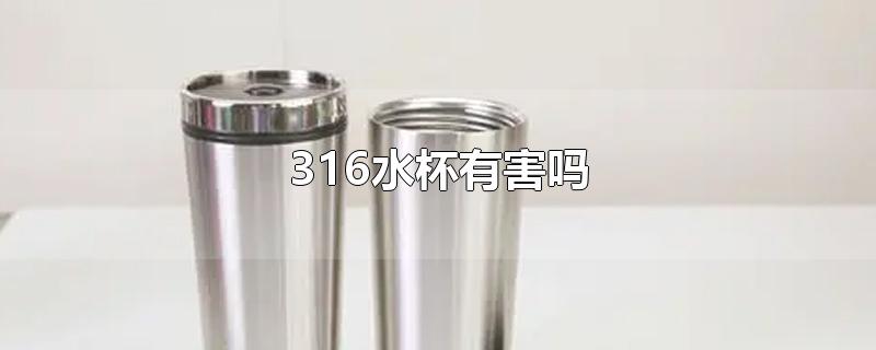 316水杯有害吗