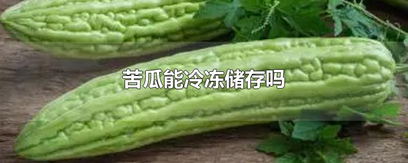 苦瓜能冷冻储存吗