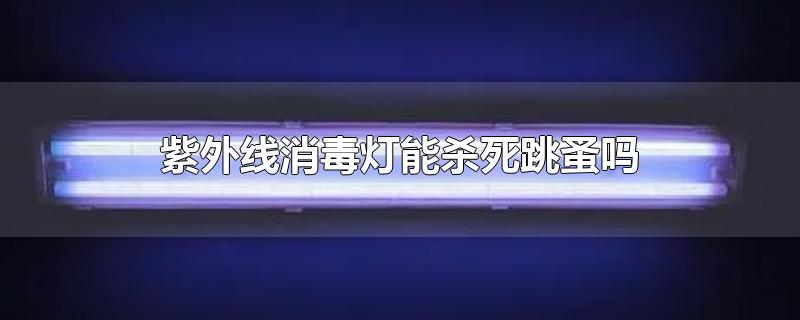 紫外线消毒灯能杀死跳蚤吗-最新紫外线消毒灯能杀死跳蚤吗整理解答