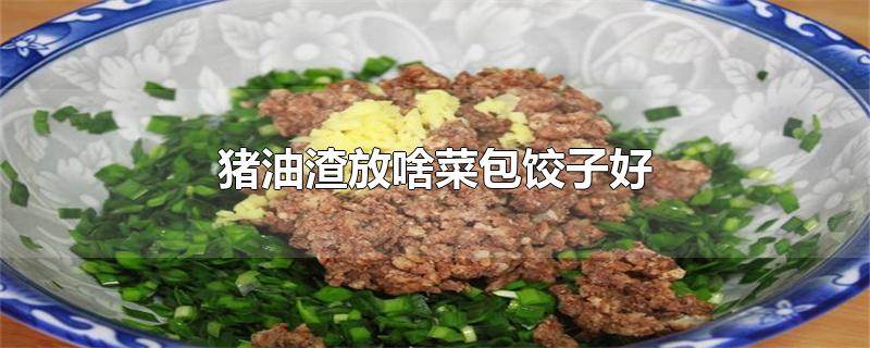 猪油渣放啥菜包饺子好-最新猪油渣放啥菜包饺子好整理解答