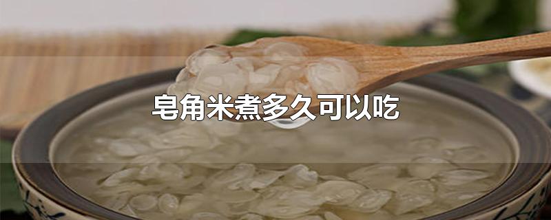 皂角米煮多久可以吃-最新皂角米煮多久可以吃整理解答