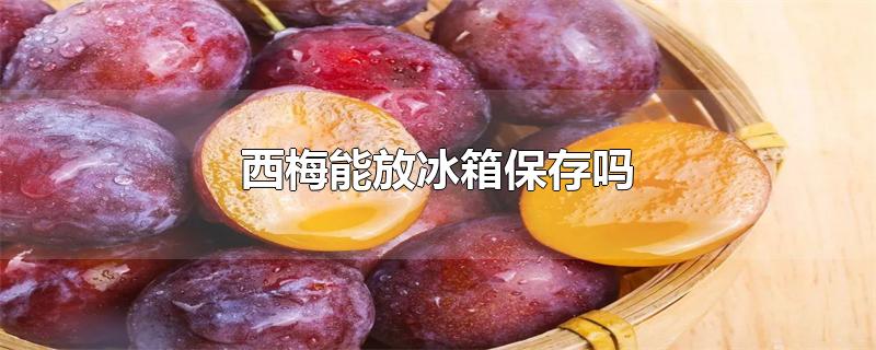 西梅能放冰箱保存吗