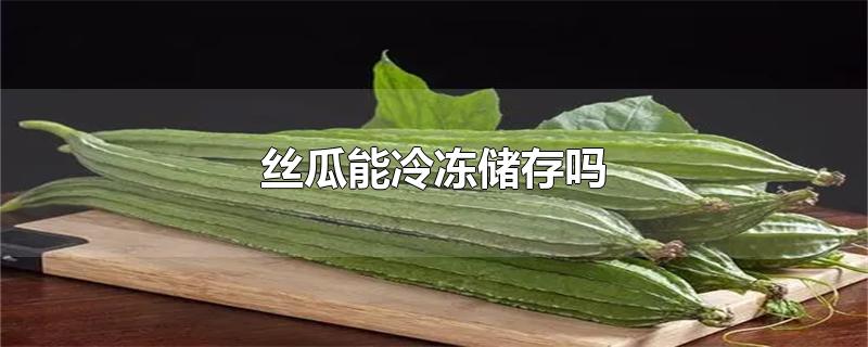 丝瓜能冷冻储存吗