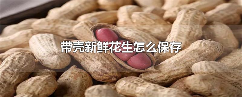 带壳新鲜花生怎么保存-最新带壳新鲜花生怎么保存整理解答