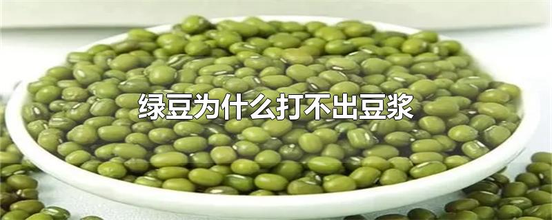 绿豆为什么打不出豆浆