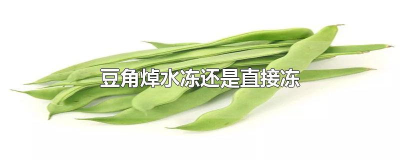 豆角焯水冻还是直接冻