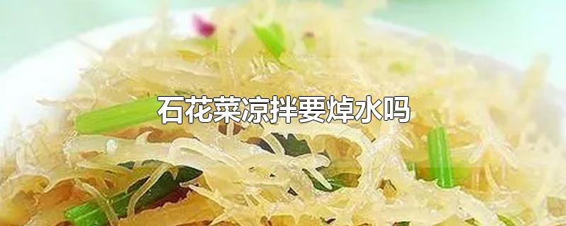 石花菜凉拌要焯水吗