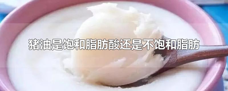 猪油是饱和脂肪酸还是不饱和脂肪-最新猪油是饱和脂肪酸还是不饱和脂肪整理解答