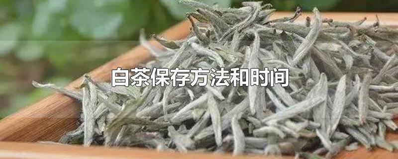 白茶保存方法和时间-最新白茶保存方法和时间整理解答