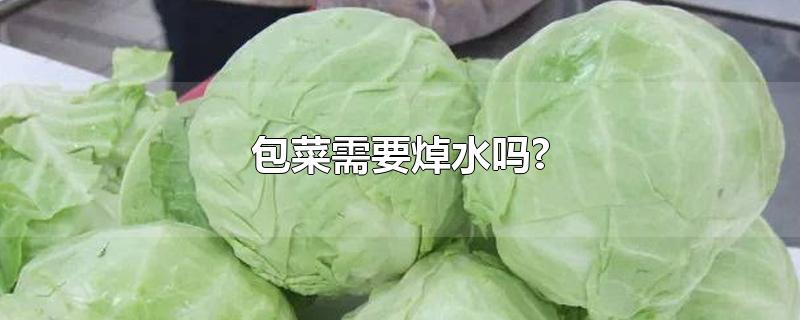 包菜需要焯水吗?-最新包菜需要焯水吗?整理解答