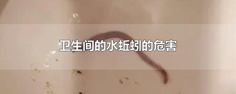 卫生间的水蚯蚓的危害-最新卫生间的水蚯蚓的危害整理解答