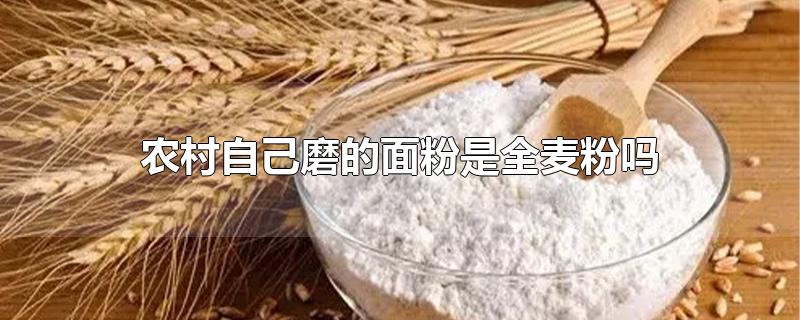 农村自己磨的面粉是全麦粉吗-最新农村自己磨的面粉是全麦粉吗整理解答