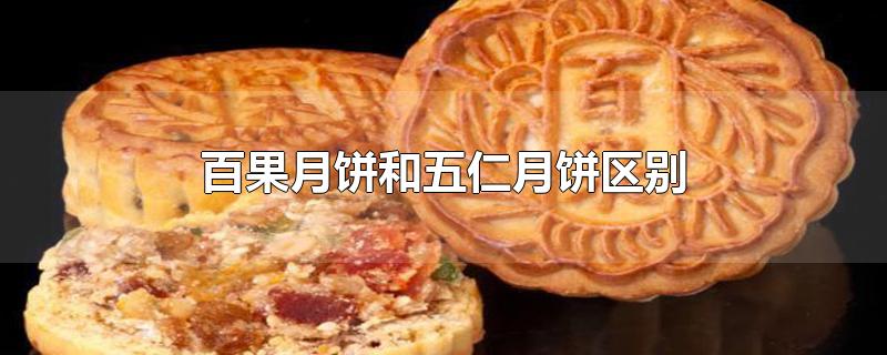 百果月饼和五仁月饼区别-最新百果月饼和五仁月饼区别整理解答