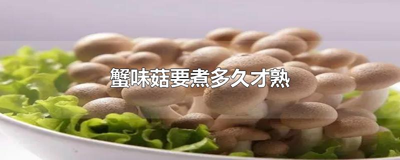 蟹味菇要煮多久才熟