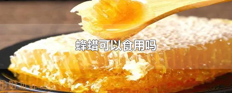 蜂蜡可以食用吗