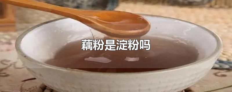 藕粉是淀粉吗-最新藕粉是淀粉吗整理解答