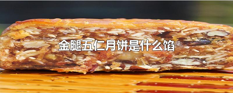 金腿五仁月饼是什么馅-最新金腿五仁月饼是什么馅整理解答